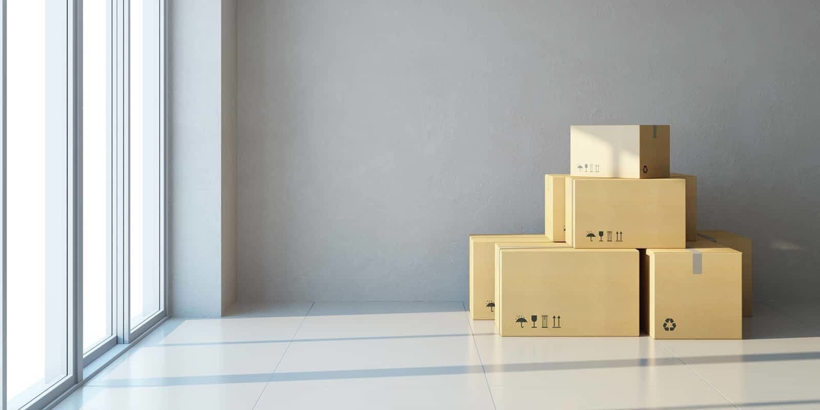 More than just antique valuations: